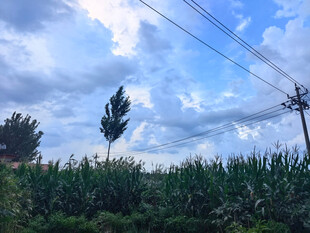 乌云下的田野景观