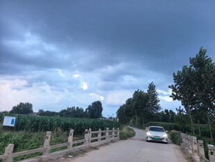乡村公路上的行驶车辆