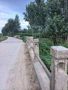 乡村水泥路旁的石质护栏