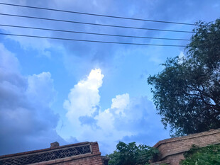 蓝天白云下的建筑与绿树