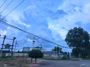 乡村道路旁的电线与景致