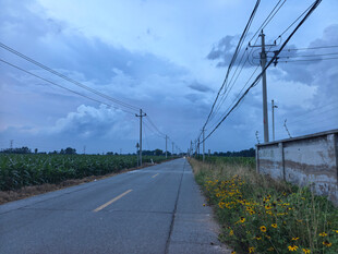 乡村公路边的美丽景致