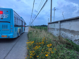 公路边行驶的蓝色大巴