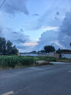 乡村公路边的黄昏景致