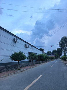 乡村道路旁的白墙建筑