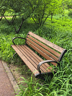 林间长椅静置于葱郁草地