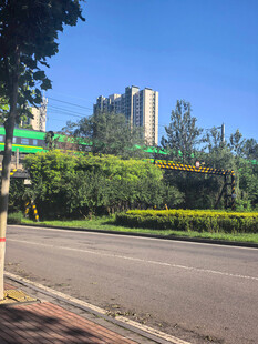 城市道路旁的绿植与建筑