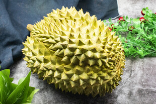 新鲜饱满的榴莲果实