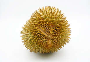 金黄带刺的新鲜榴莲