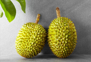 两个新鲜饱满的榴莲