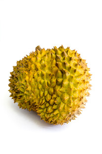 单个榴莲果