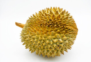 金黄榴莲特写