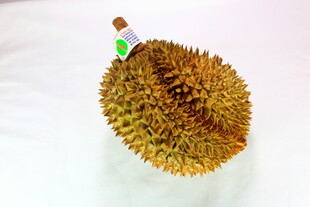 金黄榴莲特写