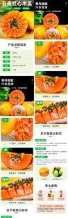 多样美味橙子食品展示
