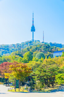 首尔塔下多彩秋景
