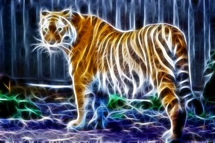 森林中的斑斓猛虎
