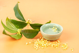桂花与茶静享秋日芬芳
