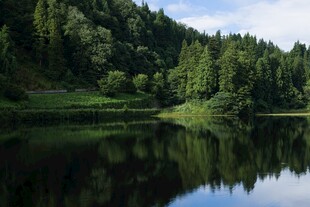 宁静湖畔森林倒影美景