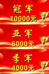 比赛奖金设置展示