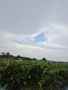 田野风光