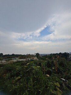 乡村绿野天空风景图