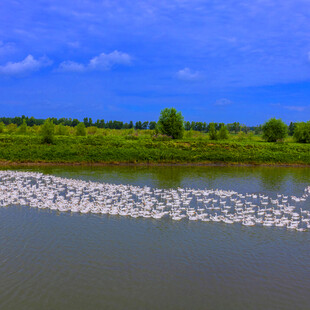 河畔风景