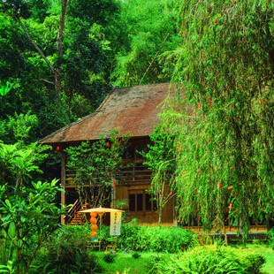 林间小屋
