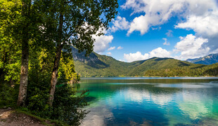 湖畔山林美景