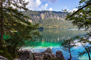 湖畔森林美景