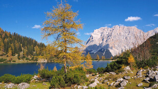 秋日山间湖泊美景