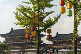 古建旁挂彩灯笼的绿树
