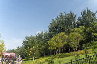 郊外绿意盎然的自然景致