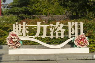 魅力洛阳景观字