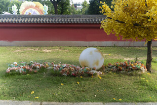 庭院中的球形装饰与花卉