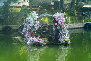 水上花卉装饰景观