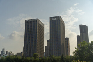城市高楼与绿树景观