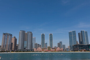 城市天际线与波光粼粼水面