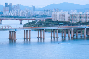 城市跨海大桥风景