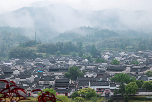 雾中古朴村落宁静之景