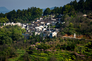 山村美景白墙黛瓦隐于绿
