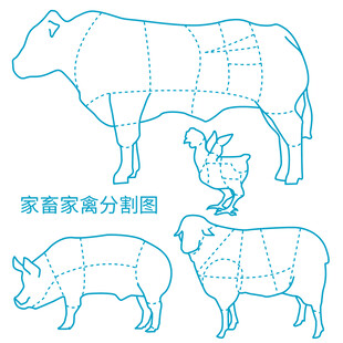 家畜家禽肉分割示意图