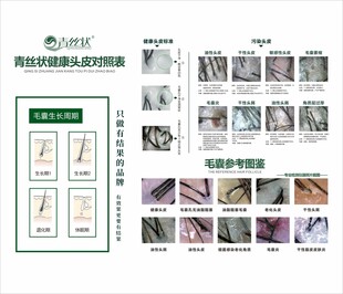 健康头皮标准