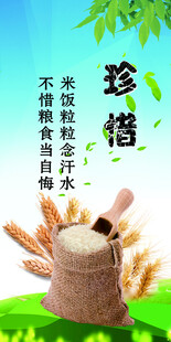 珍惜 资源 粮食