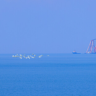海上施工场景