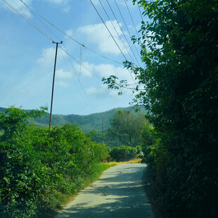 乡间小路
