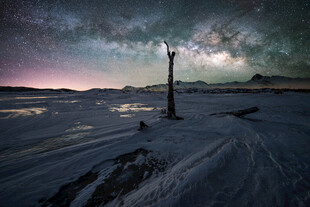孤独枯树立于星空雪地