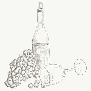 葡萄美酒素描图