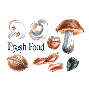 新鲜食材插画