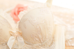 精致蕾丝女士内衣展示