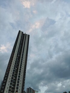 高楼矗立在多云天空下